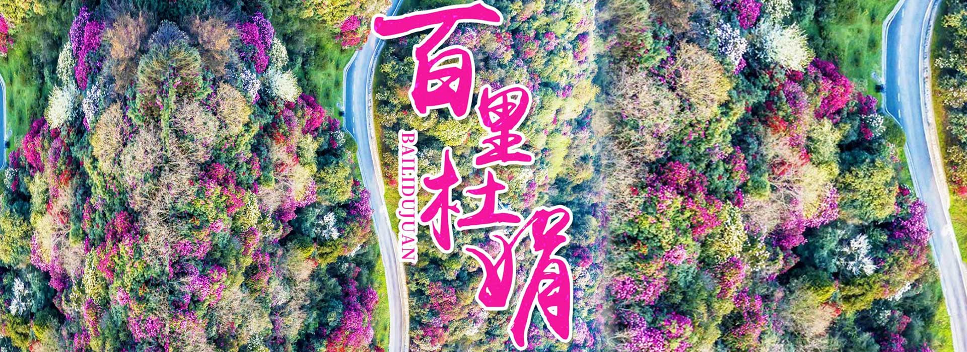 信息分类
