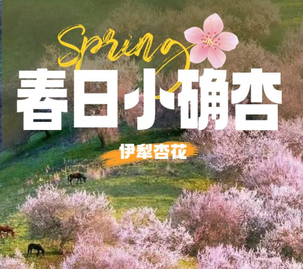 乌鲁木齐+赛里木湖·果子沟+喀赞其民俗街+吐尔根杏花沟+那拉