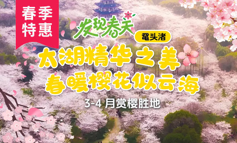华东5市+乌镇6日5晚跟团游