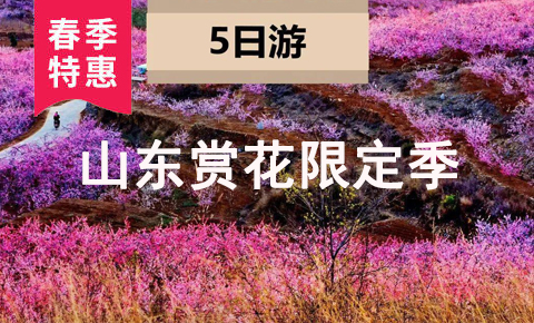 山东济南+泰山+曲阜5日4晚跟团游
