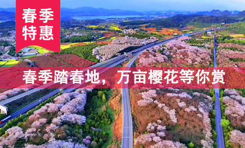 贵州安顺平坝农场樱花园一日游【【早鸟樱花预